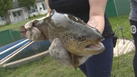 Deep impacts: Manitoba wildfires could threaten aquatic ecosystems