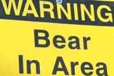 Selkirk urged to stay ‘bear aware’ after animal sighting in city’s north end