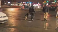 Torture, drugs and kidnapping: How a turf war in Quebec’s organized crime world came to blows