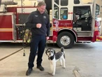 N.B. fire department’s ‘celebrity’ K9 handpicked for special training