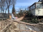 ‘A miracle’: Vernon, B.C. girl rescues herself, younger sister from falling tree
