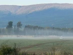 B.C. ostrich cull: Stay granted as hay-bale wall burned by fire