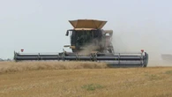 Inconsistent weather, tariffs loom over Manitoba’s harvest