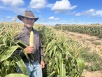 ‘Used up every drop of water’: Drought conditions wreak havoc on N.B. farmers’ crops