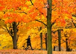 Fall forecast: Canadians to see above-normal temperatures in a wet autumn