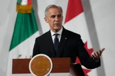 Carney says Mexican gangs operating in Canada ‘and vice versa,’ vows action