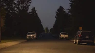 ‘It’s pitch black’: Streetlight outages leave northeast Calgary residents in the dark