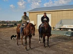 Cowboys and farm dog wrangle wayward bulls in southern Alberta