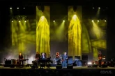 The story of backstage passes and how they work