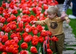Spring is taking root across Canada. What will the season bring?