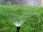 Water consumption in Dartmouth area drops 5% since mandatory restrictions began