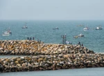Federal minister’s office concerned with Nova Scotia band’s lobster fishery intent