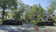 ‘Remarkably quiet’ Atlantic hurricane season so far, but don’t let your guard down