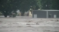 Old photo of Ontario children used in phony fundraiser for Texas flood victims