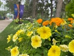 Hidden Treasures: Saskatchewan’s Government House, the Edwardian Gardens