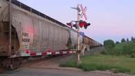 Pedestrian killed by train in Maple Crest area renews emergency access concerns