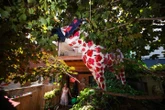 When moose took over Toronto: Artists reflect on city art project, 25 years later