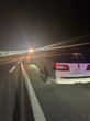 Passengers force limo driver to stop on Ontario highway over drunk driving fears