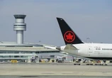 Travel to Europe, domestic trips soar as Canada–U.S. tensions shift patterns