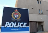 String of dead cats most likely killed by coyotes, say Ottawa police