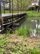 Fuel spill contaminates water body in Ontario community, cleanup underway