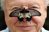 David Attenborough, natural historian and renowned broadcaster, turns 100