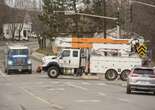 Bird on a wire: New Brunswick Power blames ospreys for outages on sunny days