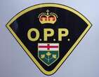 Ontario woman facing weapon charge says she was playing with a water gun