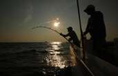 N.S. swordfish harpoon fleet urged to bring tourists aboard to boost troubled sector