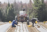 Nearly half of Canadians support scrapping Temporary Foreign workers program: poll