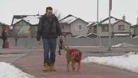 Calgary man wants people to learn service dog rights after issues with transit passengers