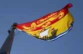 The urgent problem of intimate partner violence and how New Brunswick plans to respond