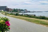 Advocates applaud Halifax council’s move to restrict Dartmouth Cove infilling