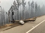 Power shutoff initiative creating ‘wave of fear,’ says Princeton, B.C. mayor