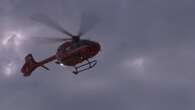 Baby flown by air ambulance to hospital in Edmonton following dog attack