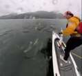 B.C. man in close encounter with dolphin pod