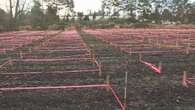 Massive new community garden set to open in Saanich this spring