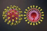 2 Pfizer COVID-19 vaccines more effective than AstraZeneca against delta variant, data says