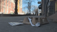 New nuisance bylaw means stiffer fines for littering in Saint John