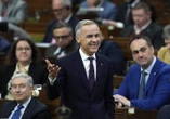 How does a majority government work? What to know as Carney nears threshold