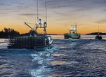 Lobster harvesters hope for strong prices as cost of fuel and other expenses soar