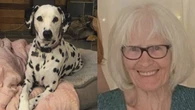 Search underway for Alberta woman, 82, lost in Saskatchewan with her dog