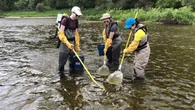 Traces of fentanyl, other drugs found in some Ontario fish, study shows