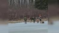 Moose rescued after falling through ice in Manitoba’s Nopiming Provincial Park
