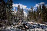 Planned glampsite renews longstanding Canmore, Alta. concerns on growth pressures