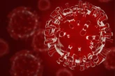 WHO calls on experts to join new advisory group probing COVID-19 origins