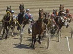 Child killed after being hit by starting gate at horse race in New Brunswick