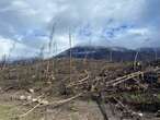 Maligne Road to reopen after wildfire in Jasper National Park