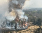 As wildfires rage, what can you do to prepare and reduce your risks?