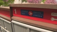 Saskatchewan businesses prepare for potential Canada Post strike